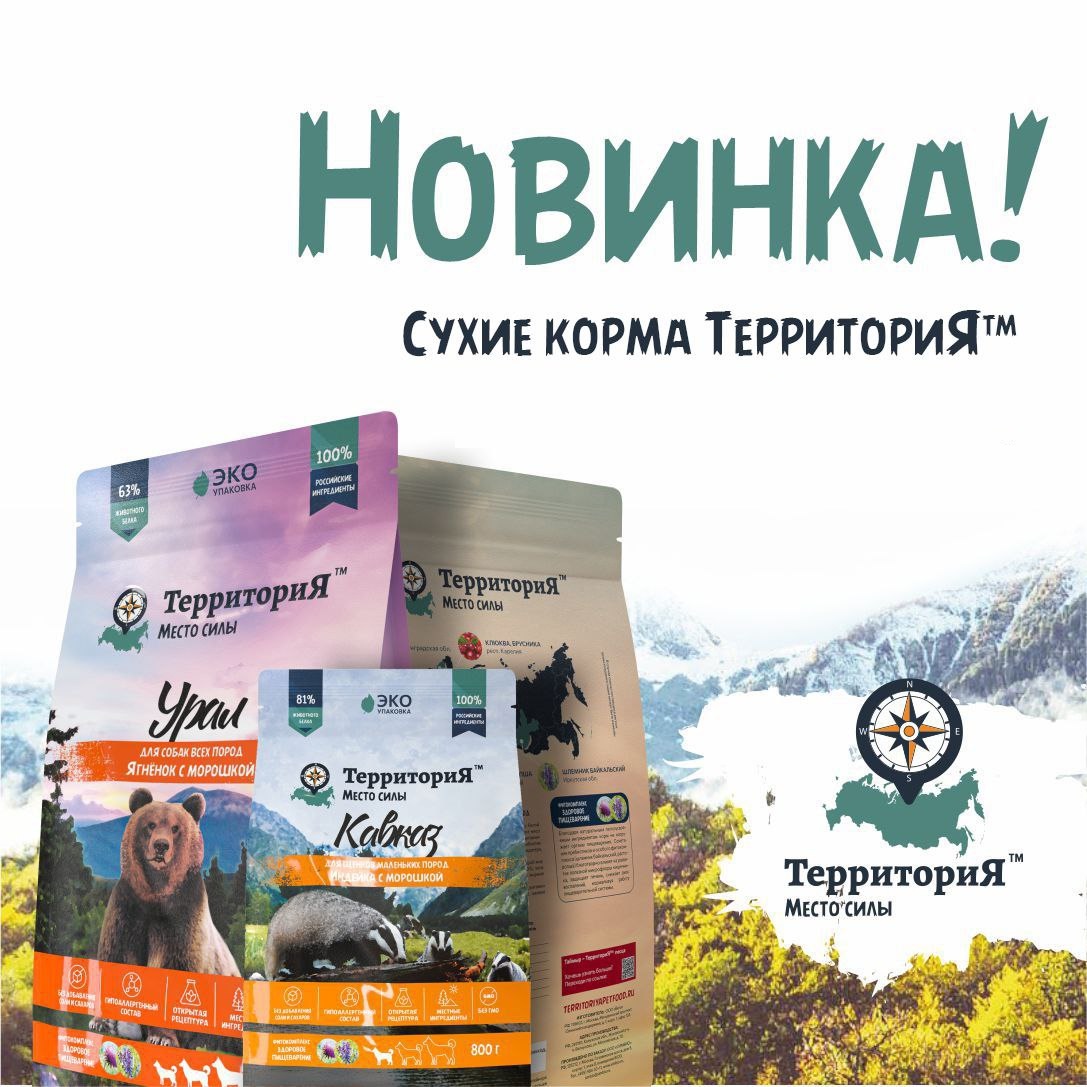 Корм для кошек Территория